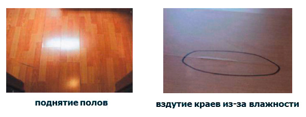 климатические условия для укладки ламината